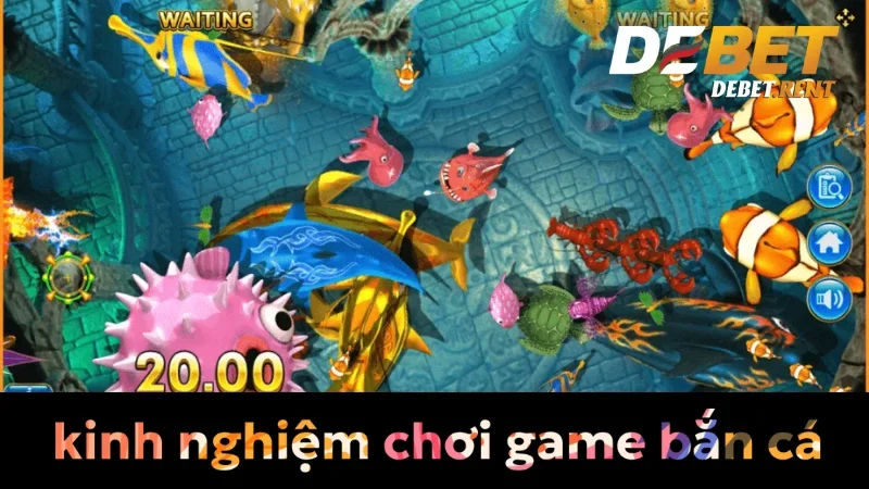 Vì sao kinh nghiệm chơi game bắn cá debet là cần thiết?